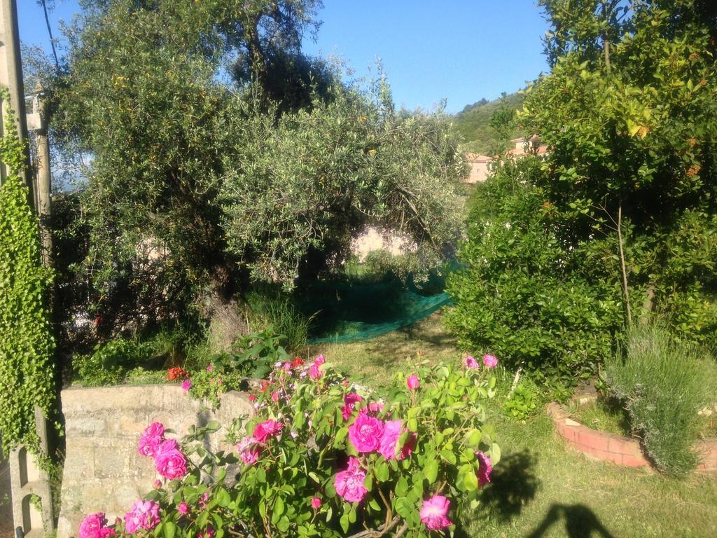 Hotel Les Calanques П'яна Номер фото